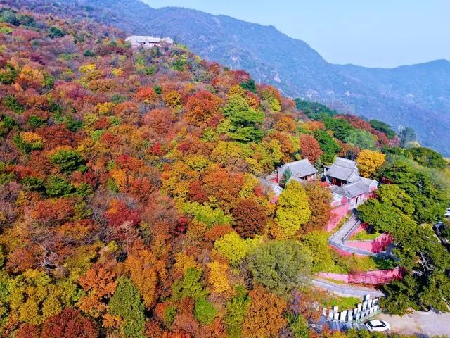 微信图片_20241022152006