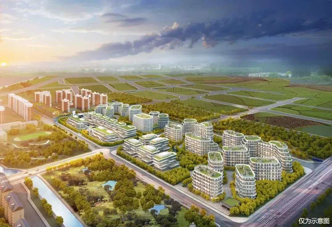 微信图片_20241112161958